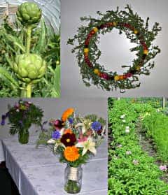 The Market Garden Bounty.